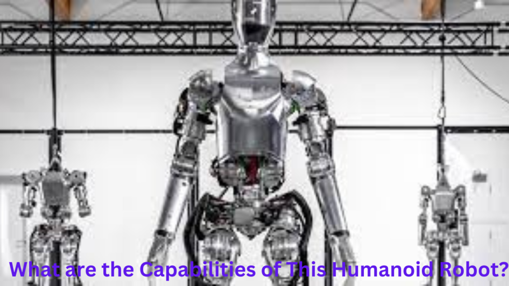 What are the Capabilities of This Humanoid Robot?